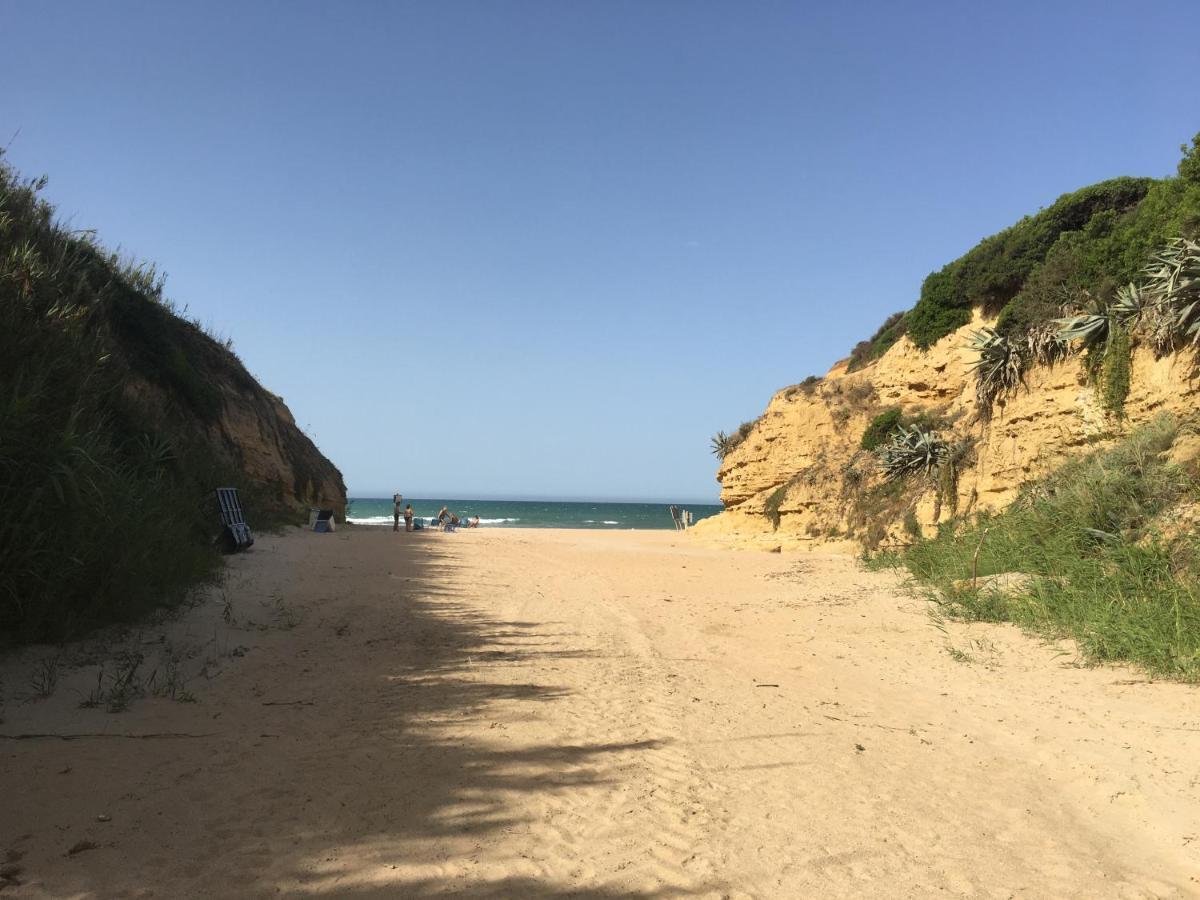 Villa Anyway Conil Un Lujo Frente Al Mar Коніль-де-ла-Фронтера Екстер'єр фото