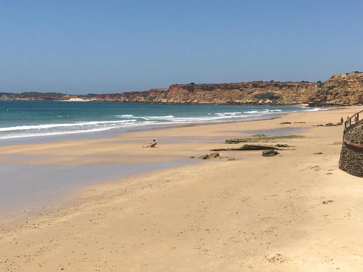 Villa Anyway Conil Un Lujo Frente Al Mar Коніль-де-ла-Фронтера Екстер'єр фото
