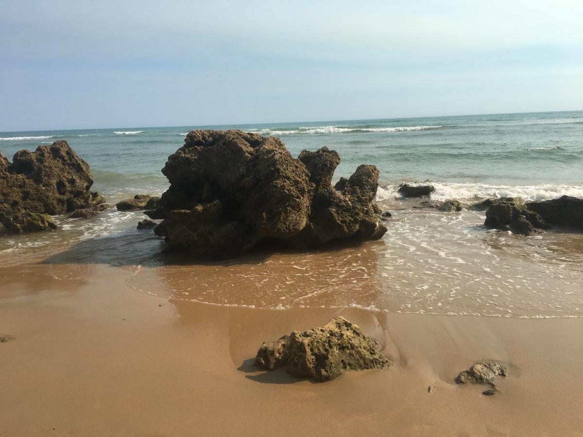 Villa Anyway Conil Un Lujo Frente Al Mar Коніль-де-ла-Фронтера Екстер'єр фото