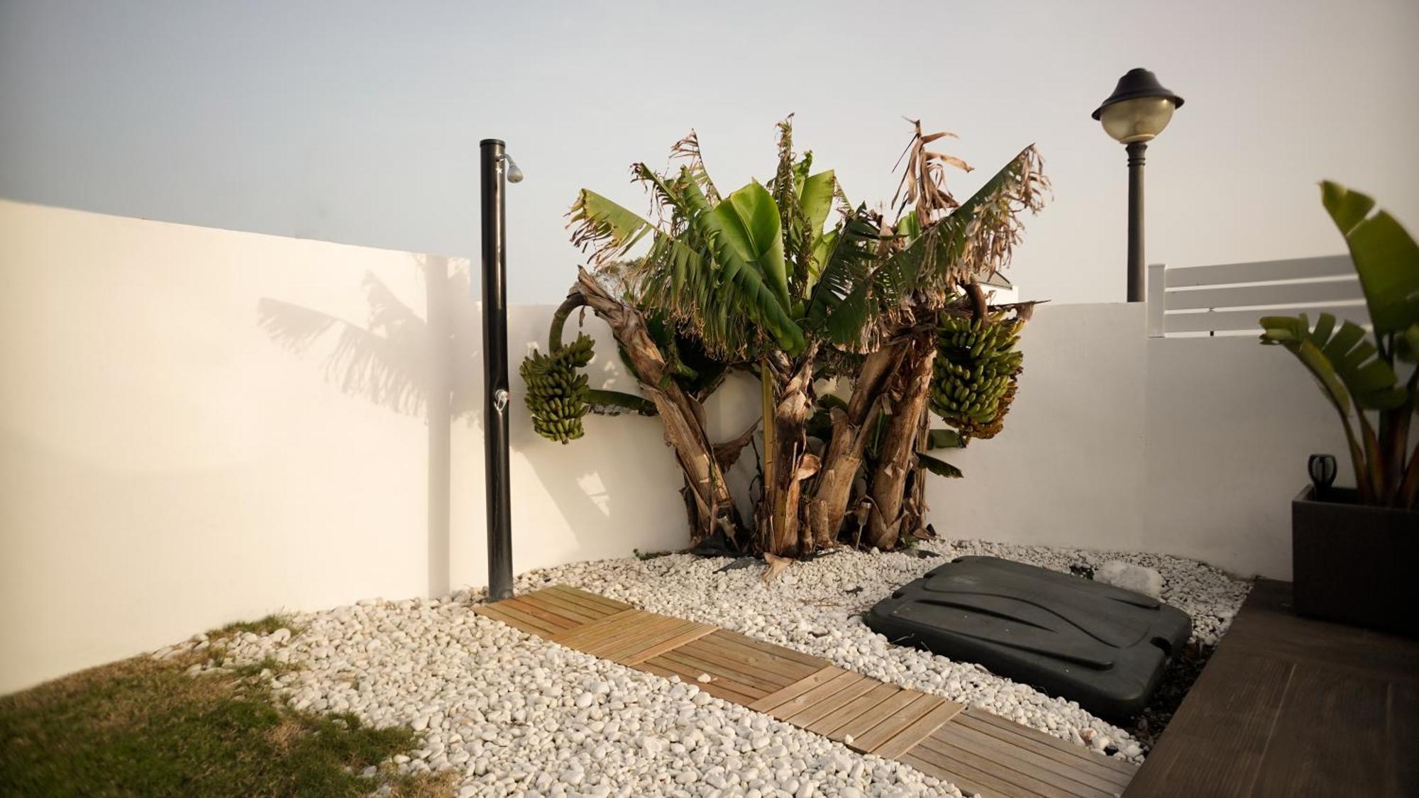 Villa Anyway Conil Un Lujo Frente Al Mar Коніль-де-ла-Фронтера Екстер'єр фото